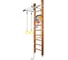 Шведская стенка Kampfer Helena Ceiling Basketball Shield 52409 1