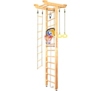 Шведская стенка Kampfer Big Sport Ceiling Basketball Shield 52458
