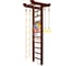 Шведская стенка Kampfer Big Sport Ceiling Basketball Shield 52455 1