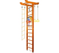 Шведская стенка Kampfer Big Sport Ceiling Basketball Shield 52450