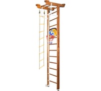 Шведская стенка Kampfer Little Sport Ceiling Basketball Shield 52462