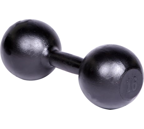 Литая гантель Титан 16.0 кг СГ000000116