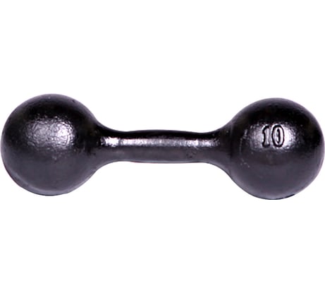 Литая гантель Титан 10,0 кг СГ000000110