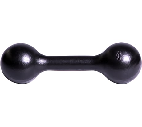 Литая гантель Титан 4.0 кг СГ000000104