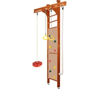 Спортивно-игровой комплекс Kampfer Swift Ceiling 60210