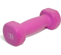 Гантель Original FitTools 1 кг DB-1