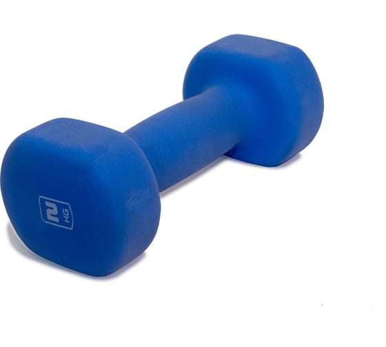 Гантель Original FitTools 2 кг DB-2 1