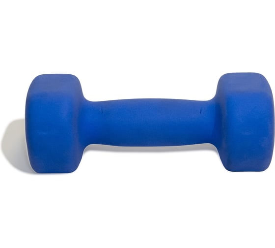 Гантель Original FitTools 2 кг DB-2