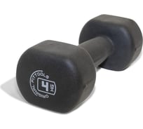 Гантель Original FitTools OFT 4 кг FT-NDB-4