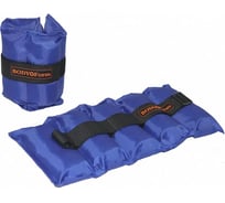 Универсальный утяжелитель BODYFORM синий, 2 шт х 300 гр BF-WUN01/blue/2-300