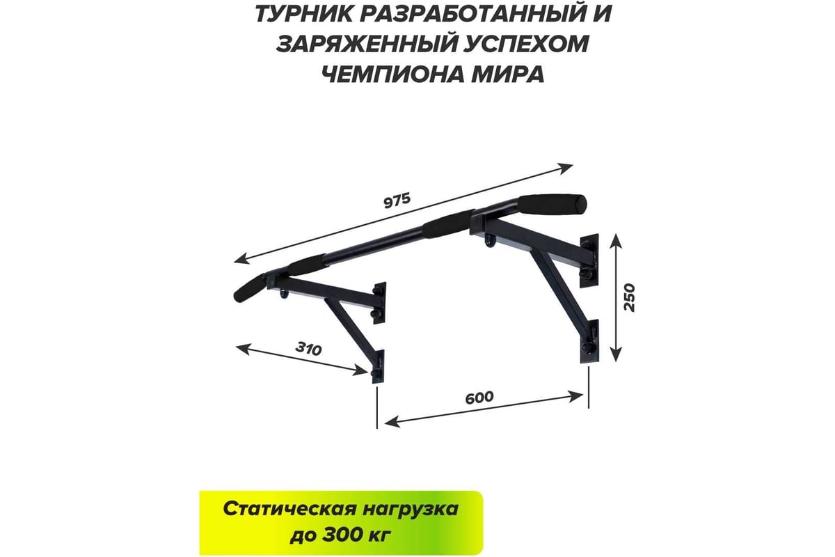 Настенный турник Absolute Champion Aktiv синий АЧ 8544