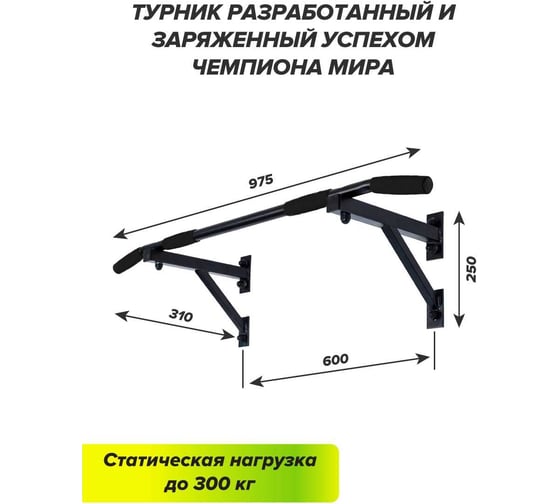 Настенный турник Absolute Champion Aktiv синий АЧ 8544