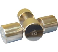 Неразборная гантель Barbell Фитнесс 9 кг, хром 246