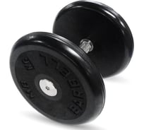 Гантель Barbell Классик с вращающейся ручкой, хром, 11 кг 1258