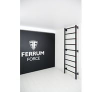 Шведская стенка FerrumForce F черный/красный F010000-1