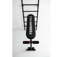 Скамья для пресса/жима лежа FerrumForce FF черный/красный F0500401
