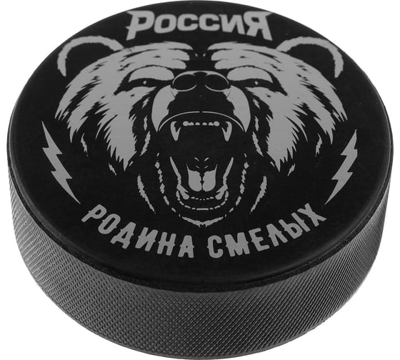 Взрослая шайба ONLITOP Россия 4481514