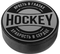 Взрослая шайба ONLITOP Храбрость в сердце 4481515