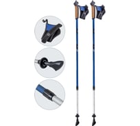 Телескопические палки для скандинавской ходьбы Ecos AQD-B015 blue 999932