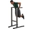 Брусья Body-Solid GDIP59 2