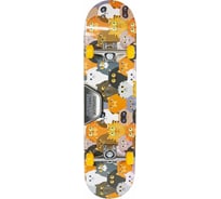 Скейтборд ATEMI 31х8, ASB31D01 00-00006980