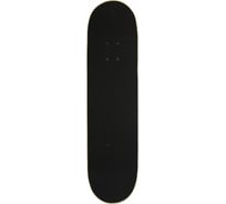 Скейтборд ATEMI 31х8, ASB31D04 00-00006983