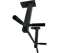 Потолочный турник DFC Homegym G486