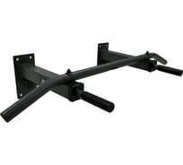 Настенный турник DFC Homegym G120