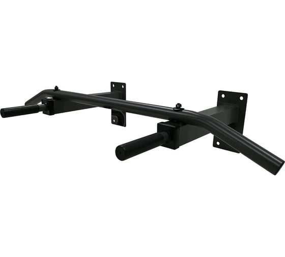 Настенный турник DFC Homegym G120