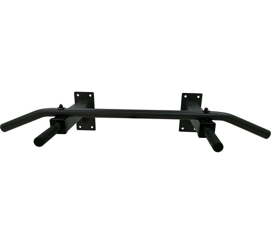 Настенный турник DFC Homegym G120