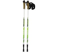 Телескопические палки для скандинавской ходьбы ATEMI twist lock, 16/14мм, ATP-04, 00-00000670