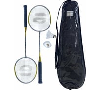 Набор для бадминтона ATEMI BAS-19 2 ракетки + волан, чехол, сталь, 00-00006705