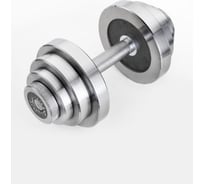 Металлическая разборная гантель 17 кг А01022