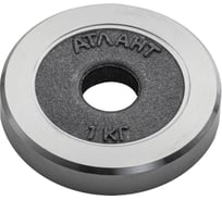 Металлический диск 1 кг А06002