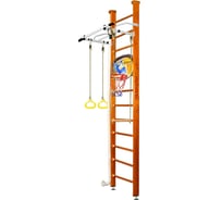 Шведская стенка Kampfer Helena Ceiling Basketball Shield №3, классический, высота 3 м, антик, турник K06547013