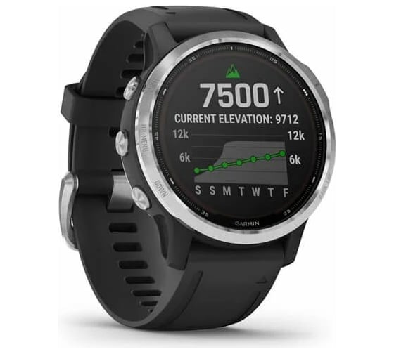 Часы Garmin fenix 6S Solar – Silver with Black Band 010-02409-00
