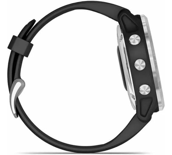 Часы Garmin fenix 6S Solar – Silver with Black Band 010-02409-00