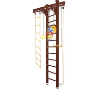 Шведская стенка Kampfer Wooden Ladder Ceiling Basketball Shield, №5 шоколадный, высота 3м K06549011