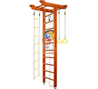 Шведская стенка Kampfer Big Sport Ceiling Basketball Shield, №4 вишневый, стандарт K06550010