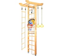 Шведская стенка Kampfer Big Sport Ceiling Basketball Shield, №0 без покрытия, стандарт K06550002