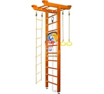 Шведская стенка Kampfer Big Sport Ceiling Basketball Shield, №3 классический, стандарт K06550008
