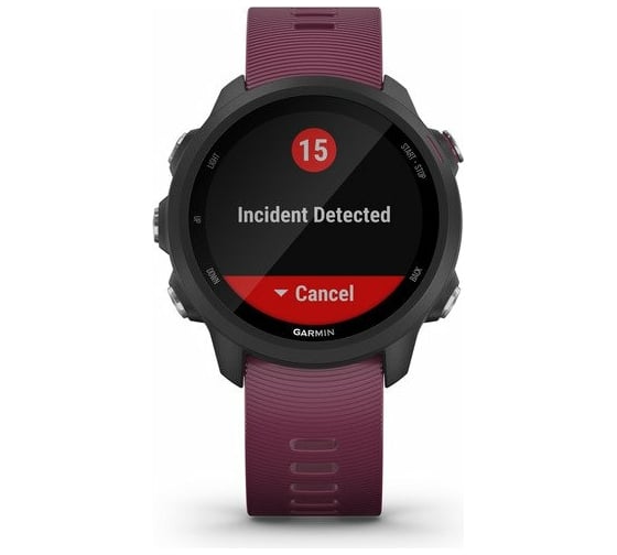 Часы Garmin Forerunner 245 GPS EU Black/Berry 010-02120-11