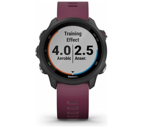 Часы Garmin Forerunner 245 GPS EU Black/Berry 010-02120-11