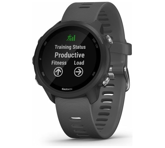 Часы Garmin Forerunner 245 GPS EU Black/Slate 010-02120-10 1