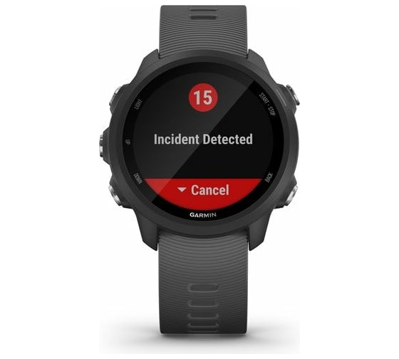 Часы Garmin Forerunner 245 GPS EU Black/Slate 010-02120-10