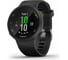 Часы Garmin Forerunner 45 GPS Large EU Black 010-02156-15 1