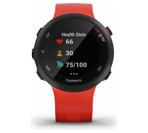 Часы Garmin Forerunner 45 GPS Large EU Lava Red 010-02156-16