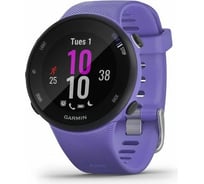 Часы Garmin Forerunner 45S GPS Small EU Iris 010-02156-11