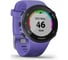 Часы Garmin Forerunner 45S GPS Small EU Iris 010-02156-11 2
