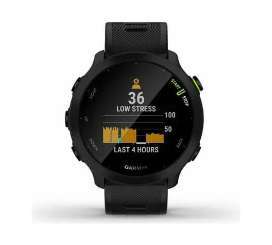 Часы Garmin Forerunner 55 GPS Black 010-02562-10